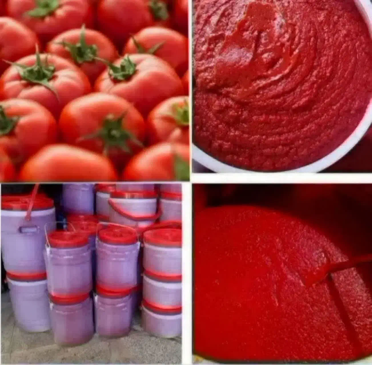 رب آبلیمو آبغوره|خوردنی و آشامیدنی|شاهین‌شهر, گزبرخوار|دیوار