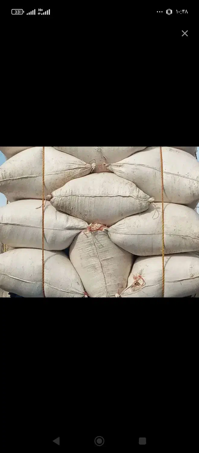 کاه|لوازم جانبی حیوانات|قره پشتلو, |دیوار