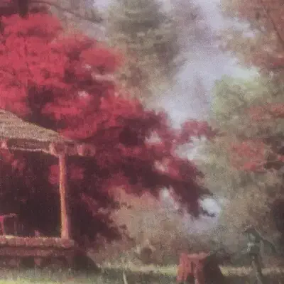 ازدواج|فعالیت داوطلبانه تحقیقاتی|نورآباد, |دیوار