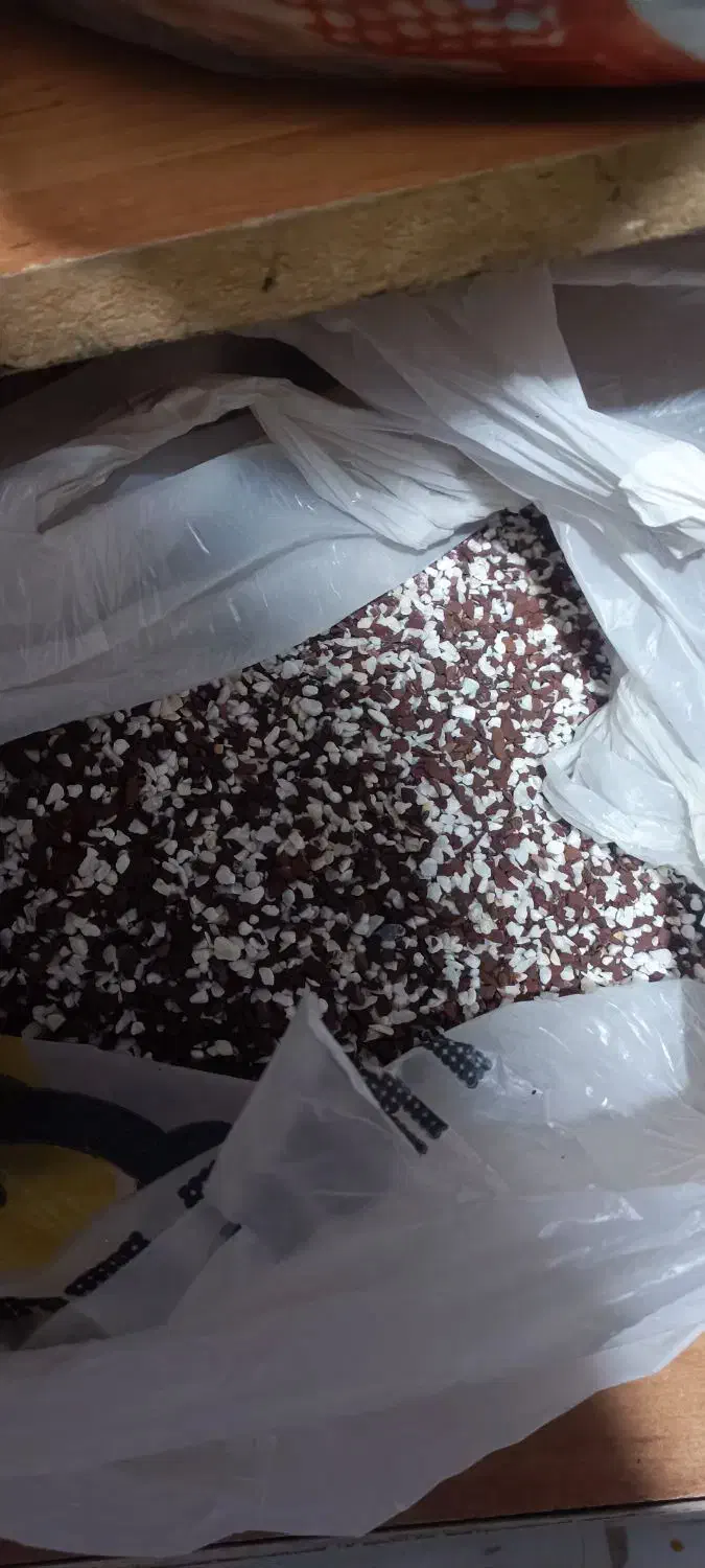 وسایل اکواریوم|ماهی|اهواز, سپیدار|دیوار