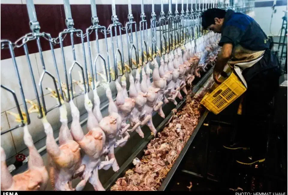 آگهی استخدام نیروی کار|استخدام صنعتی، فنی، مهندسی|امامزاده عبدالله, |دیوار