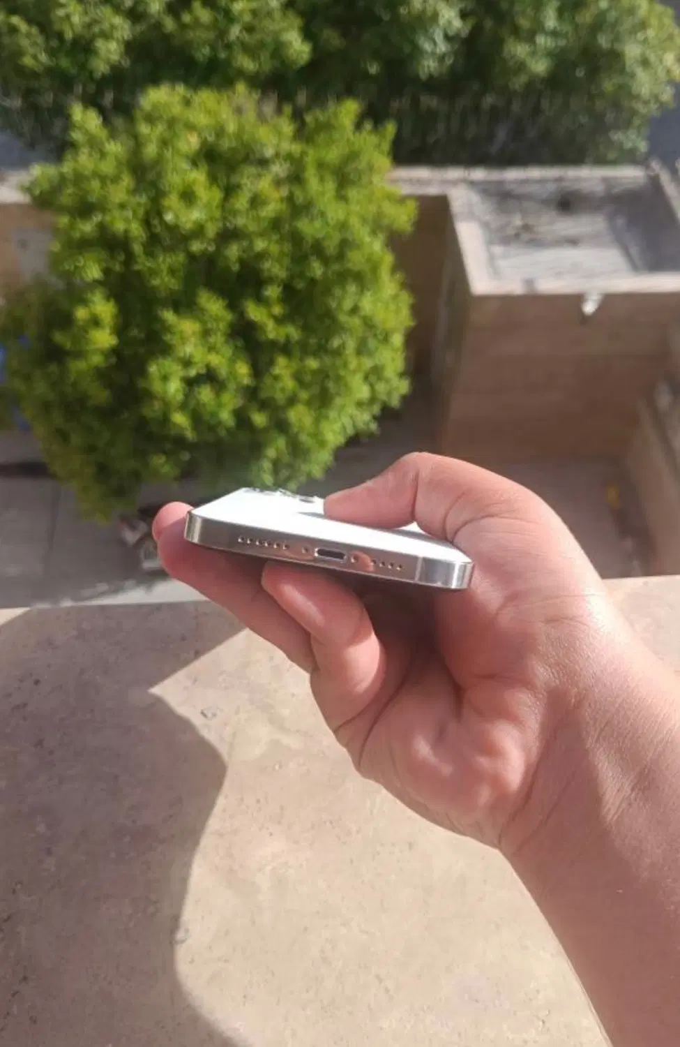 iphone 12pro max|موبایل|شیراز, زرهی|دیوار