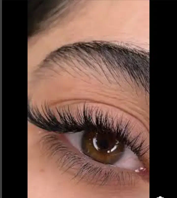 لیفت و لمینت ابرو و مژه،کاشت و اکستنشن مژه|خدمات آرایشگری و زیبایی|یاسوج, |دیوار