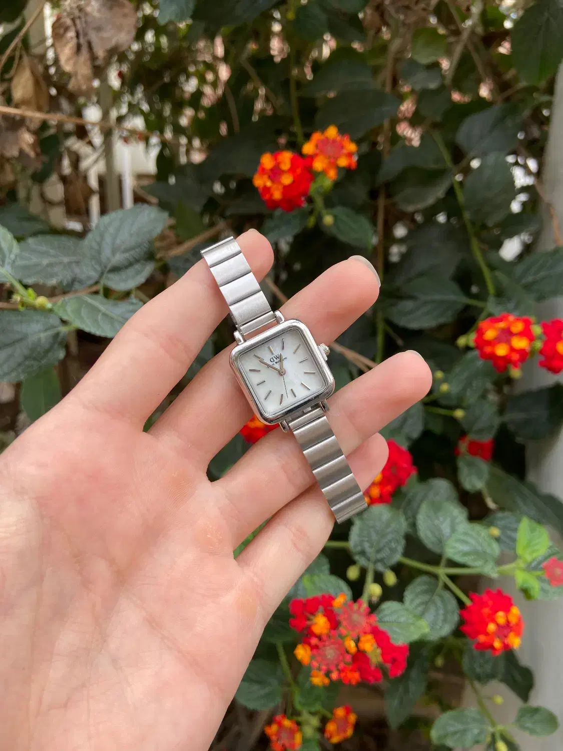 ساعت DW کرکره ای|ساعت|گنبد کاووس, |دیوار