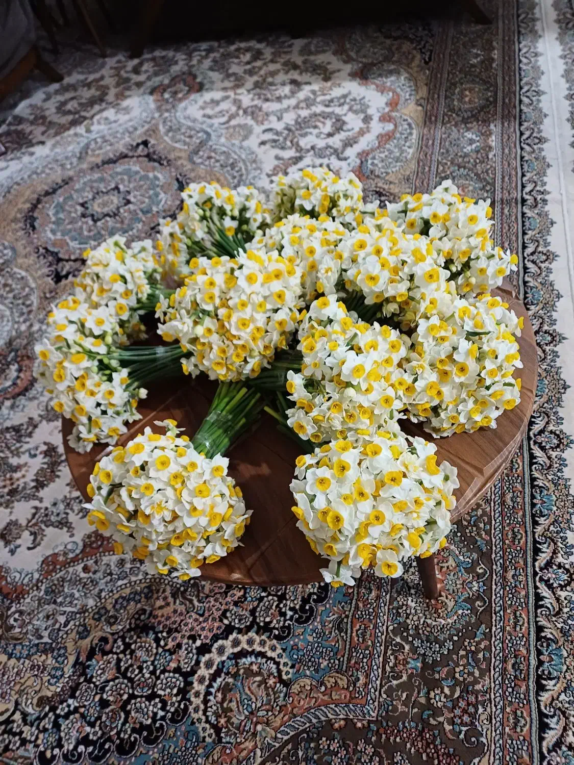 فروش گل نرگس|گل و گیاه طبیعی|خان ببین, |دیوار