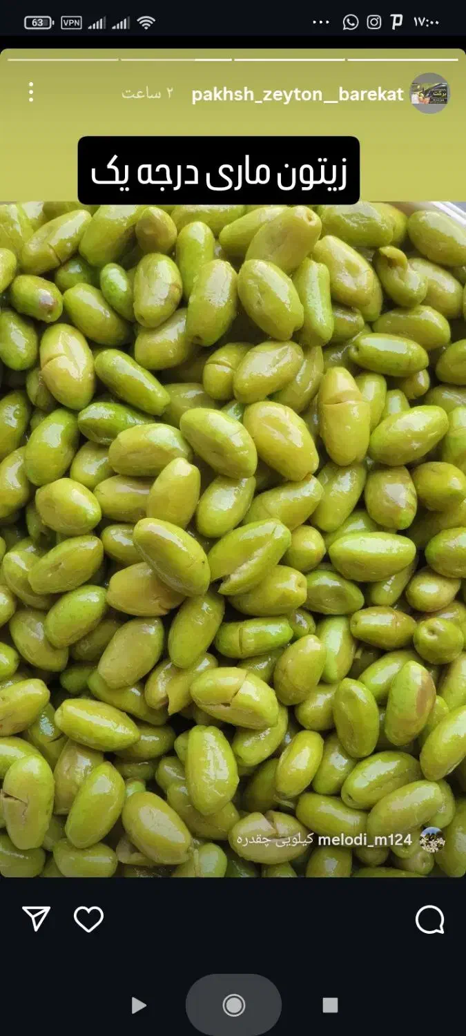 زیتون شکسته امساله|خوردنی و آشامیدنی|منجیل, |دیوار