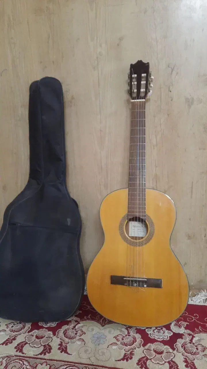 گیتار ایبانز|گیتار، بیس، امپلیفایر|شهریار, شهریار|دیوار