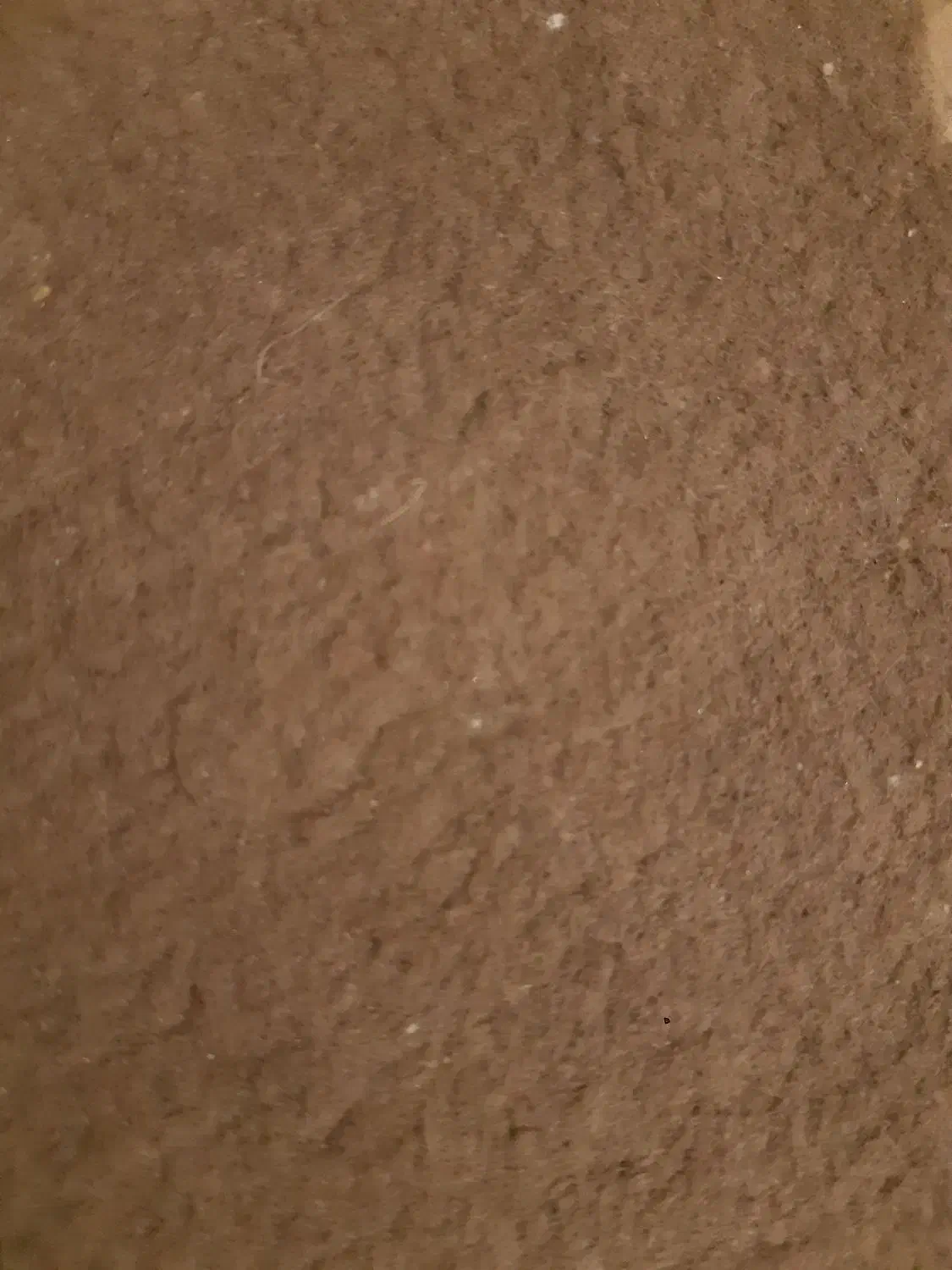 نظافتچی  اقام|خدمات نظافت|یزد, |دیوار