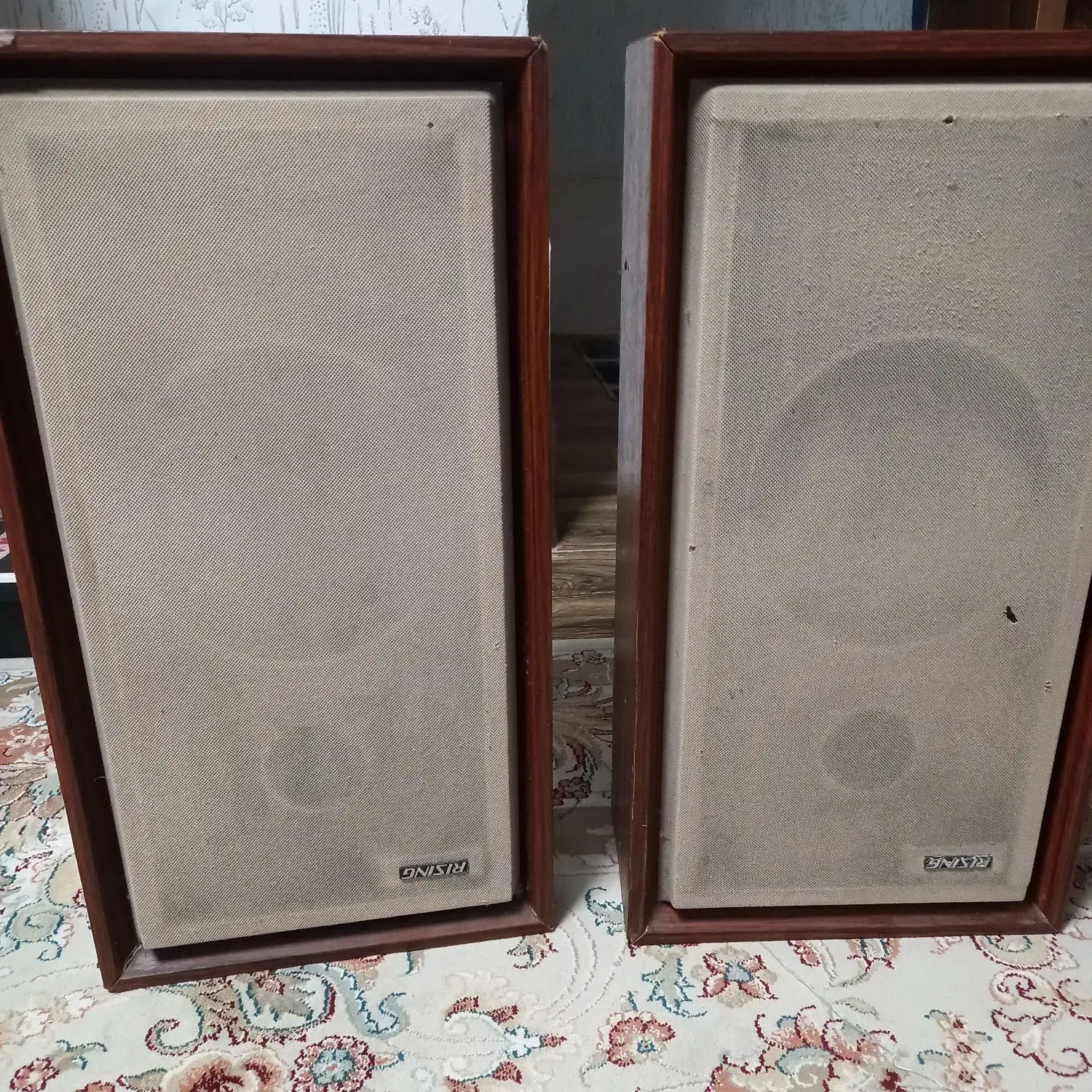 اسپیکر وینتیج ریزینگ ژاپن|سیستم صوتی خانگی|رشت, منظریه|دیوار