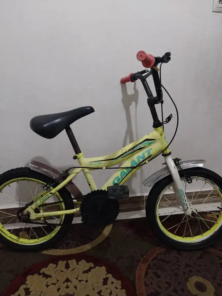 دوچرخهسواری|دوچرخه، اسکیت، اسکوتر|آستانه اشرفیه, |دیوار