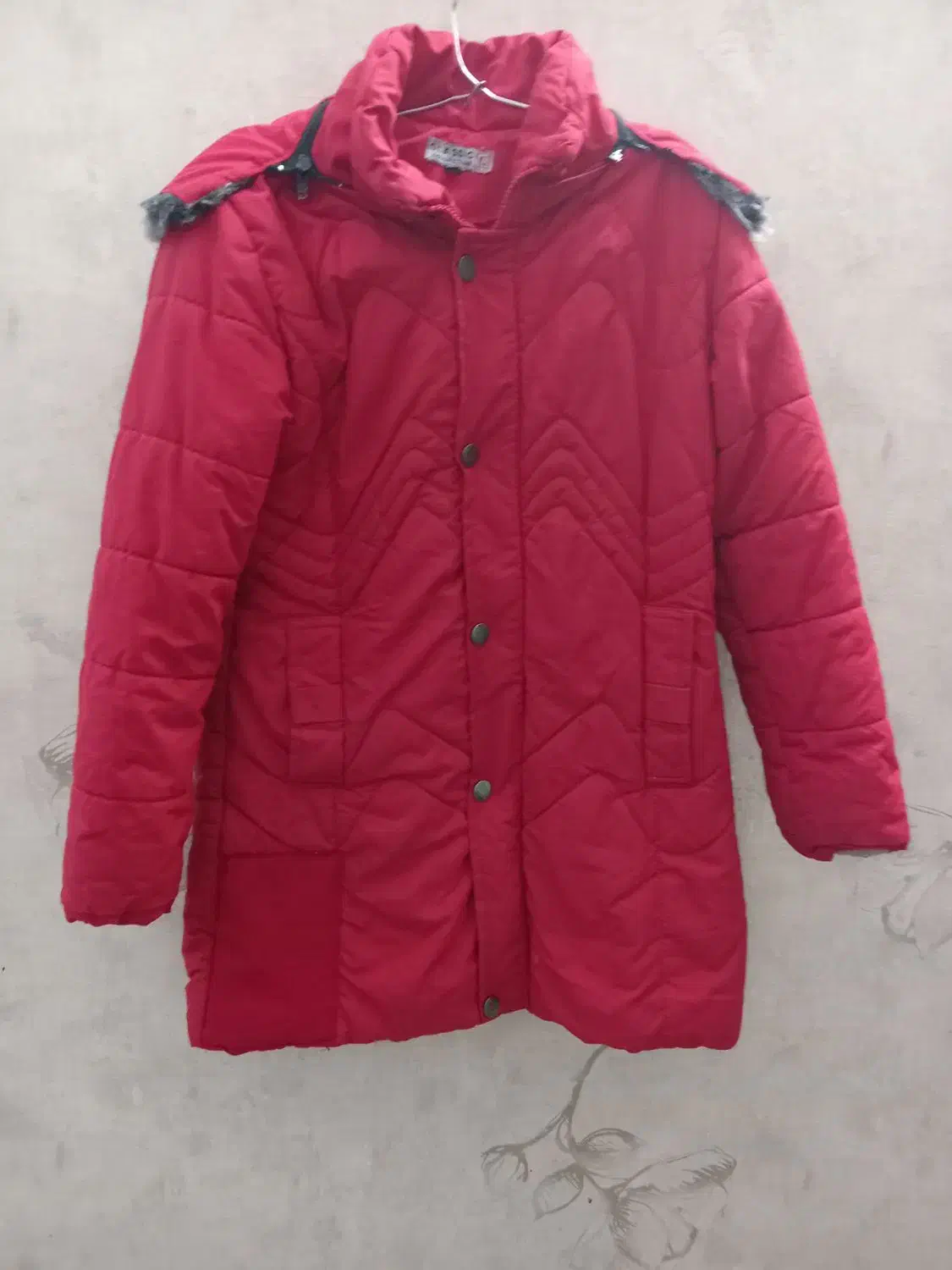 پالتو|لباس|مشهد, نظام دوست|دیوار