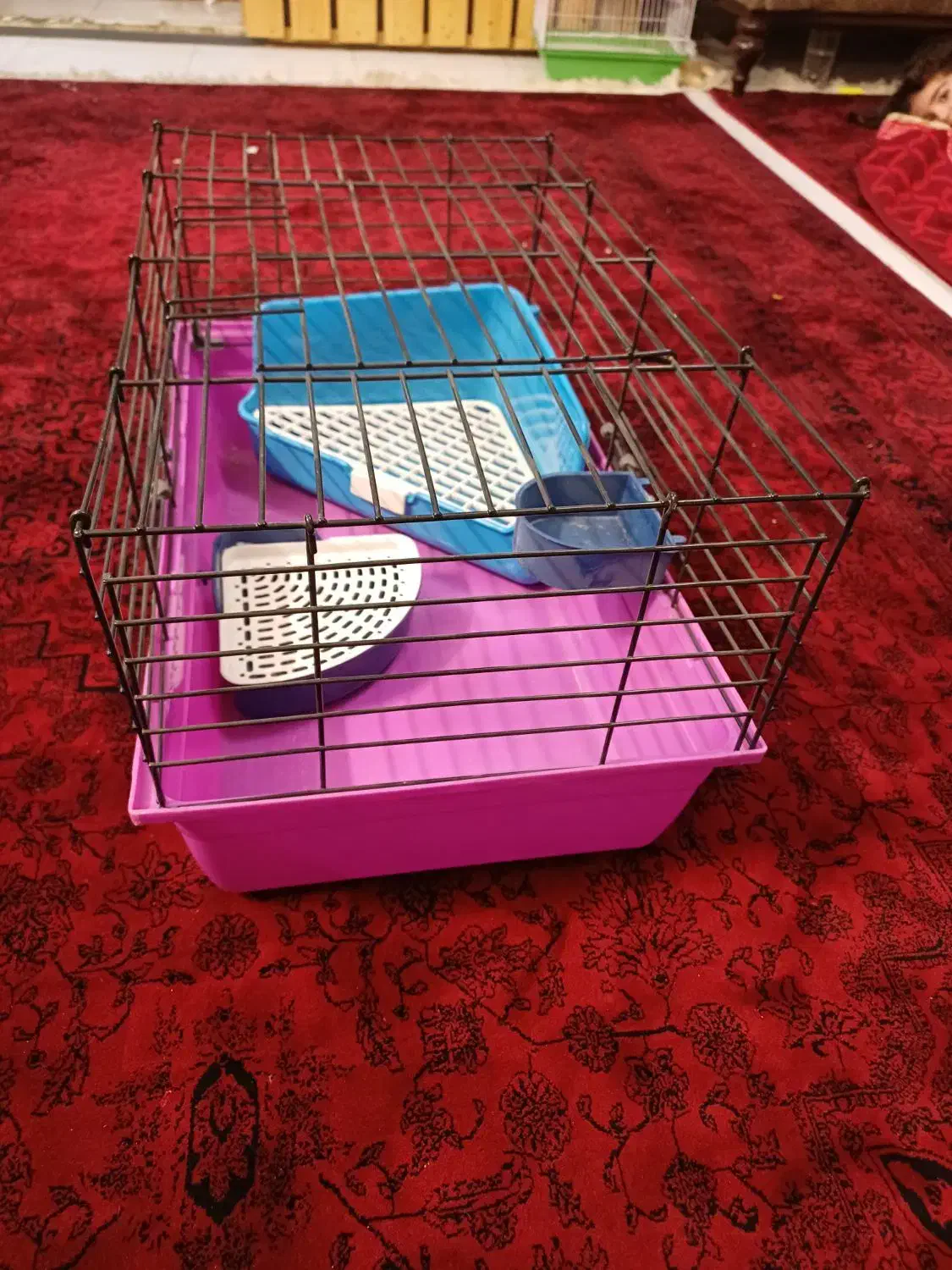 قفس خرگوش همستر خوکچه|لوازم جانبی حیوانات|فردیس, شهرک شهید حسینی|دیوار