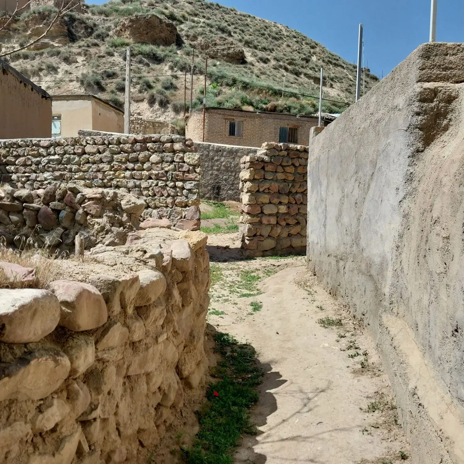 زمین مناسب ساخت ویلا و خونه باغ ۲۵۰متر|فروش زمین و ملک کلنگی|سرولایت, |دیوار