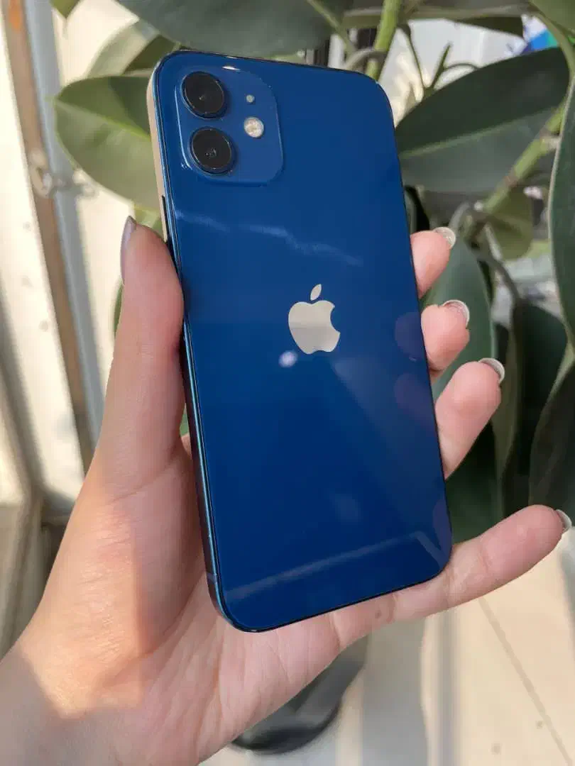 آیفون ۱۲نرمال iphone12normal|موبایل|تهران, شهرک غرب|دیوار
