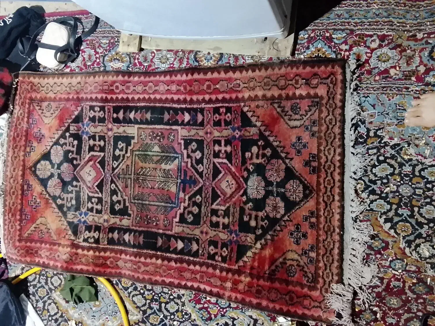 قالی دست بافت بدونه پارکی سالم سالم|فرش|ساوه, |دیوار