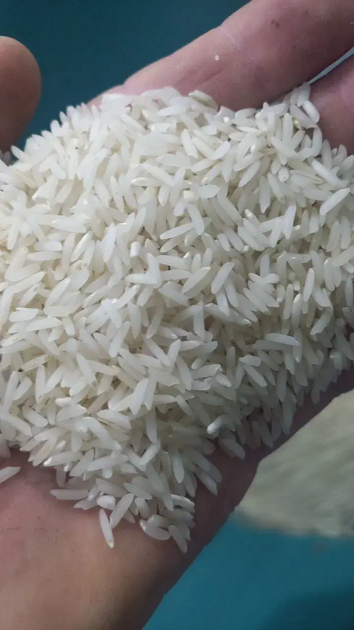 برنج هاشمی درجه یک|خوردنی و آشامیدنی|خدا آفرین, |دیوار