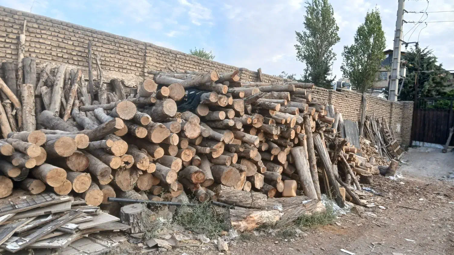 خرید و فروش چوب|خدمات باغبانی و درختکاری|جاجرود, |دیوار