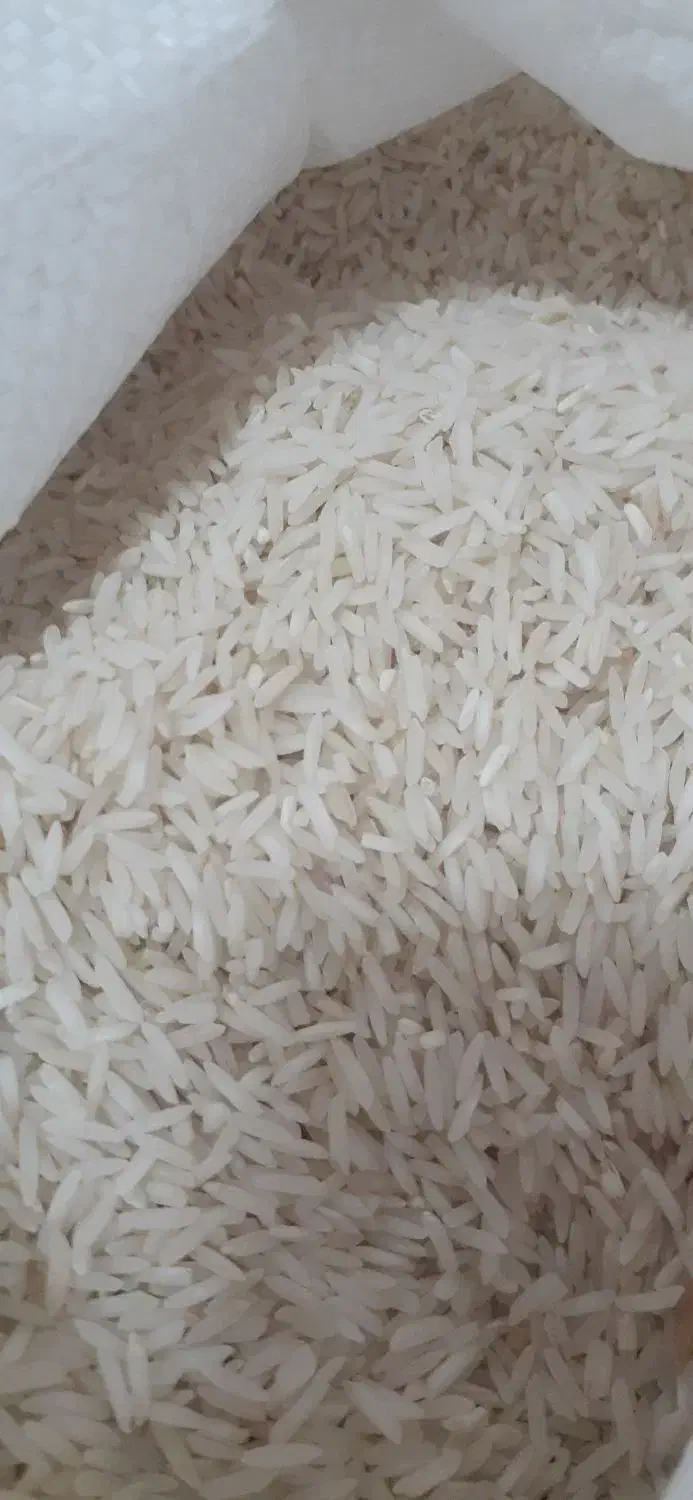 برنج طارم هاشمی۲۵۰|خوردنی و آشامیدنی|آق قلا, |دیوار