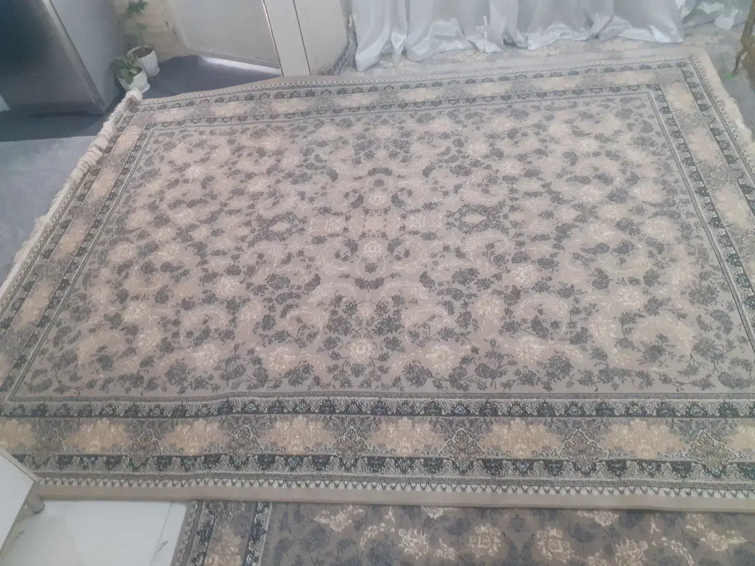 فرش افشان ۷۰۰ شانه|فرش|قرچک, مهدیه|دیوار