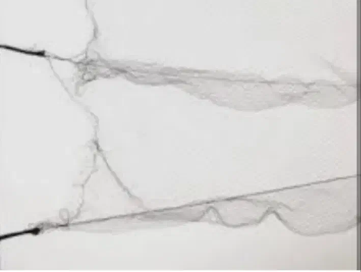 تور هوایی سهره 15 در 3|پرنده|ساوه, |دیوار