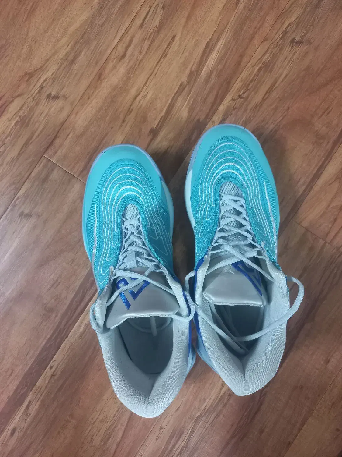 فروش کفش والیبال|کیف، کفش، کمربند|سمنان, |دیوار