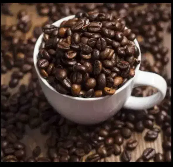 انواع فال|خدمات پذیرایی، مراسم|لردگان, |دیوار