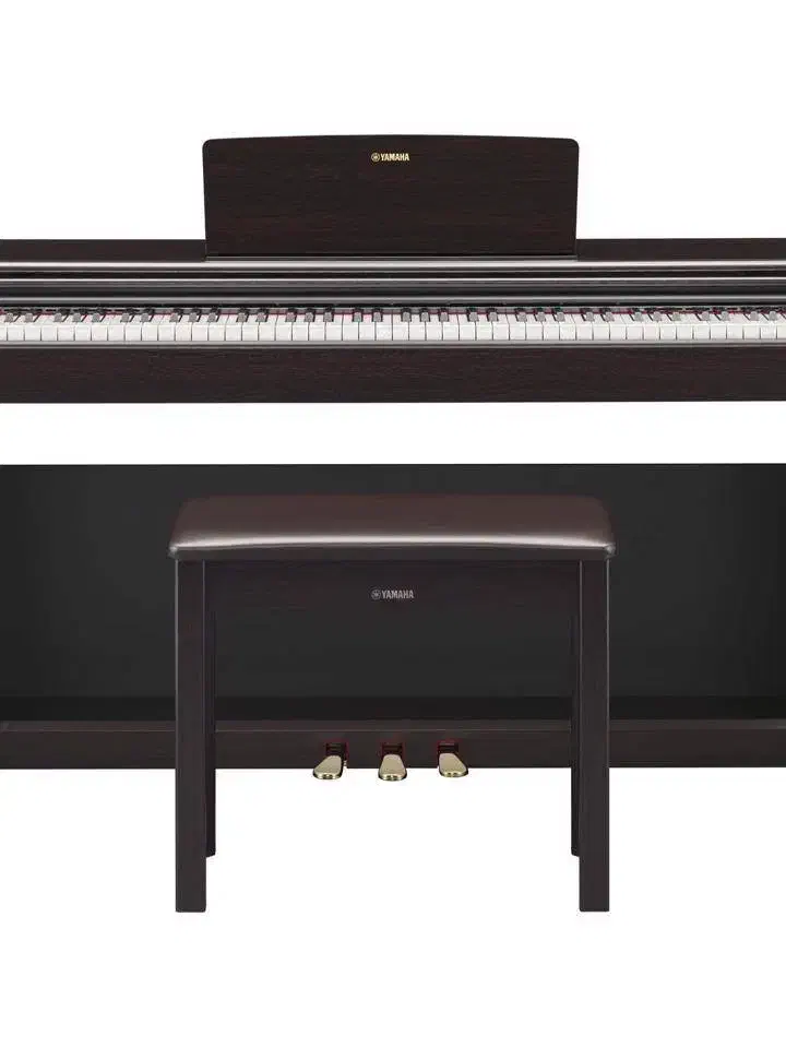 YDP-144پیانو یاماها دیجیتال|پیانو، کیبورد، آکاردئون|مشهد, شهید فرامرز عباسی|دیوار