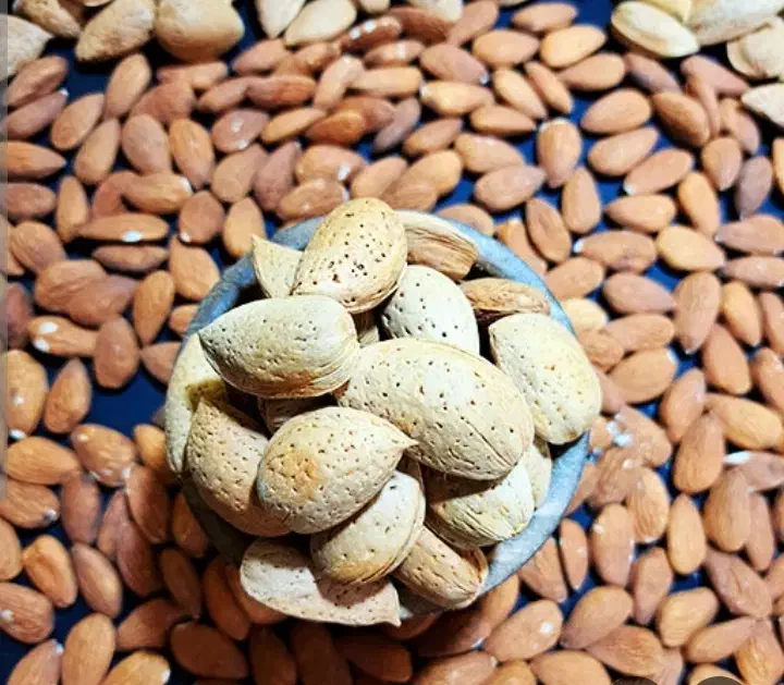 بادام درختی|خوردنی و آشامیدنی|اهواز, شهرک شهید عباس پور|دیوار