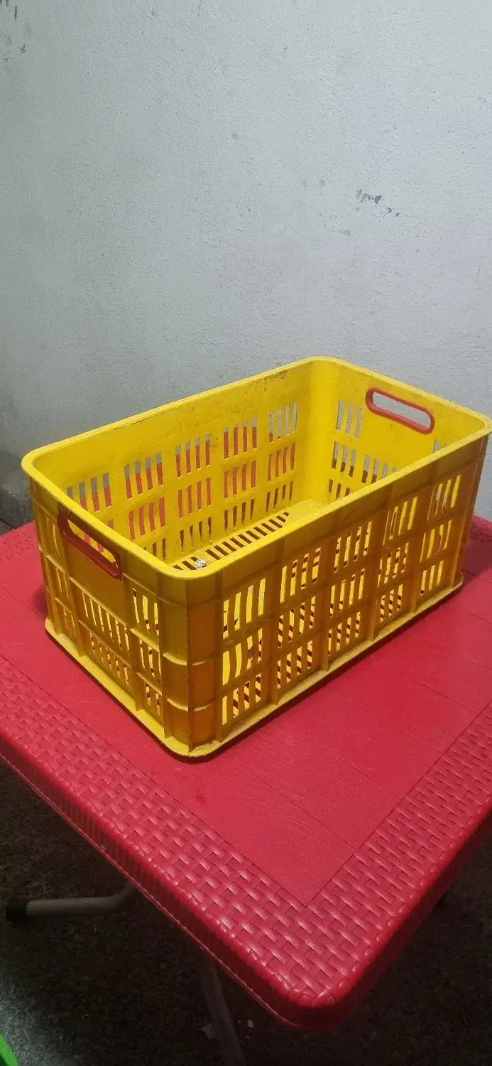 سبد|ظروف نگهدارنده، پلاستیکی، یکبارمصرف|کرج, شهرک جهاننما|دیوار