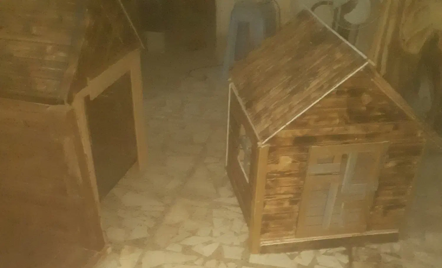 پت هوم|لوازم جانبی حیوانات|آستانه اشرفیه, |دیوار