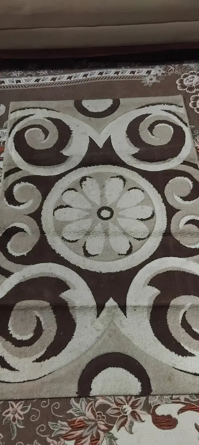 پادری|پادری|مشهد, جاهد شهر|دیوار