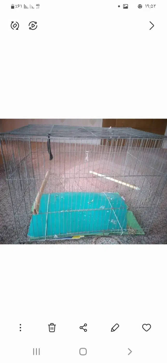 قفس|لوازم جانبی حیوانات|قزوین, |دیوار