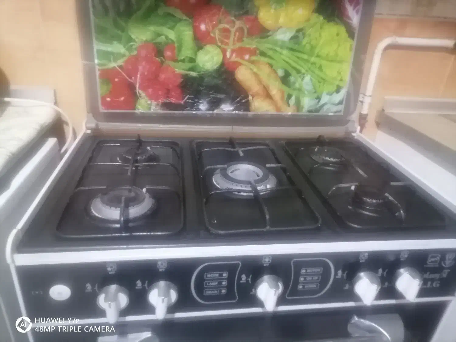 گازطرح فر|اجاق گاز و لوازم برقی پخت‌وپز|کرمان, |دیوار