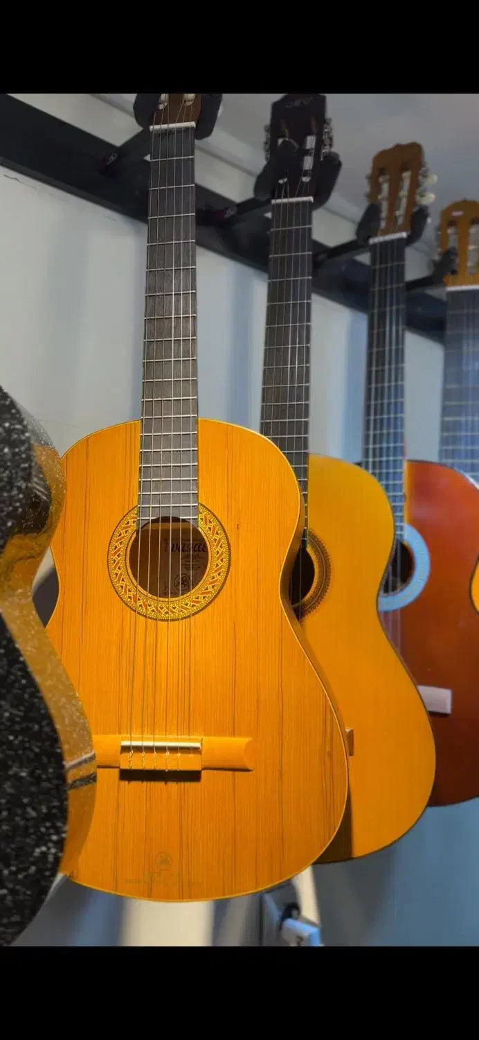 فروش گیتار های ایرانی با کیفیت بالا پیکابدار|گیتار، بیس، امپلیفایر|بندرعباس, |دیوار