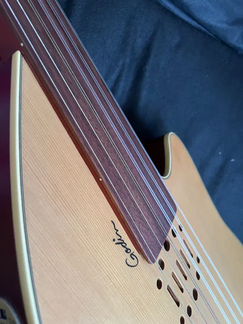 عود گودین|سازهای سنتی|میناب, |دیوار