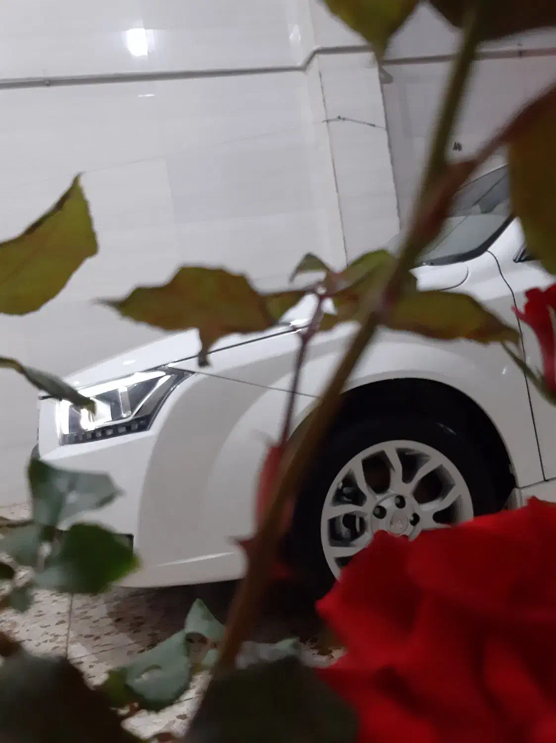 دنا پلاس توربو اتومات اپشنال 1403 برج ۱۲|خودرو سواری و وانت|اهواز, ملاشیه|دیوار