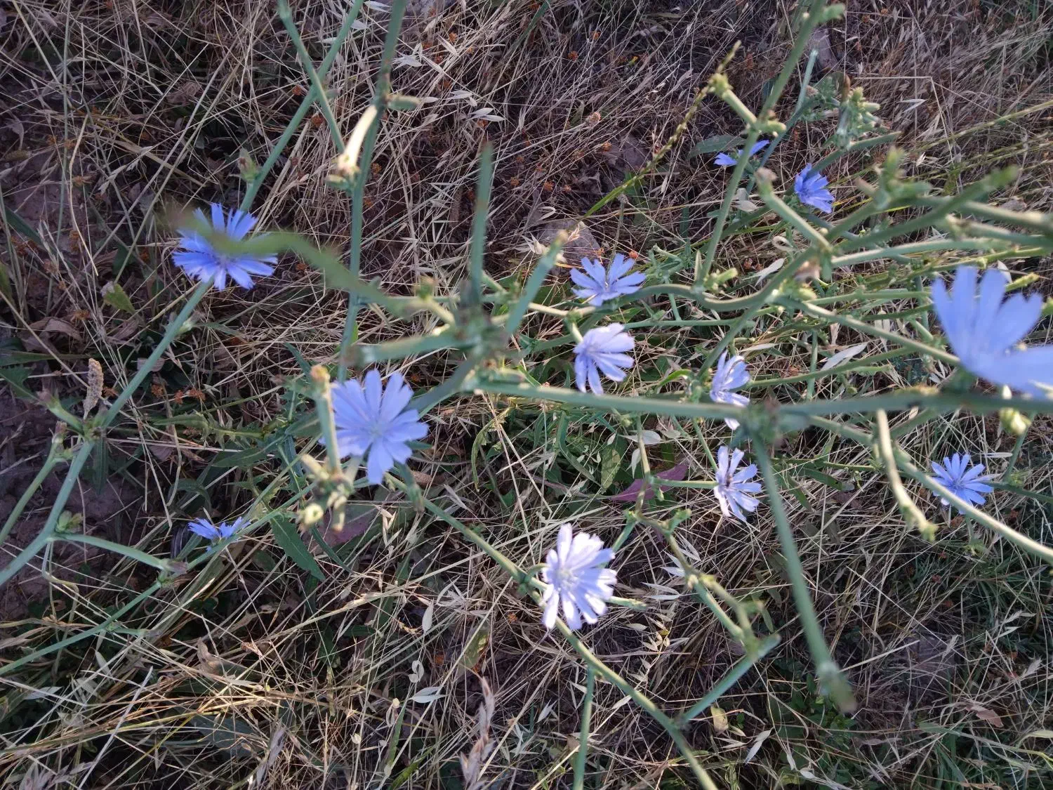 وام|فعالیت داوطلبانه|ایلام, |دیوار