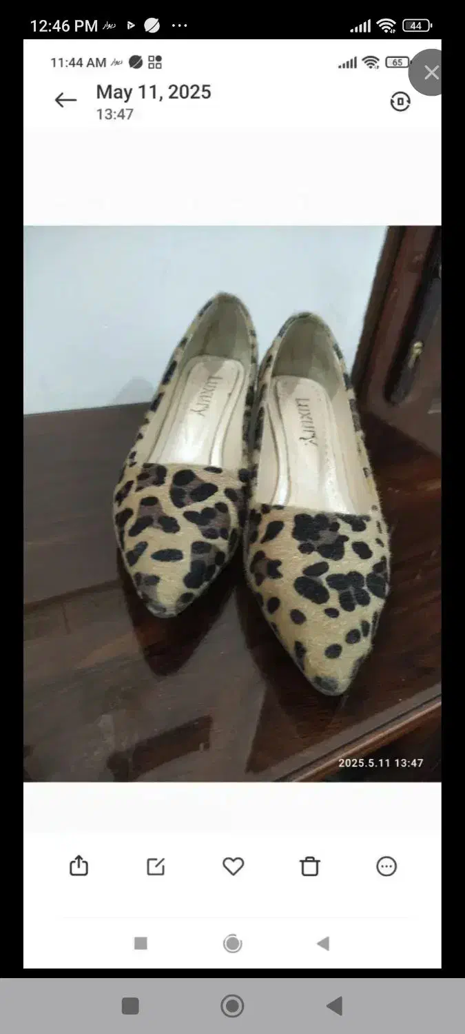 کفش مجلسی و اسپرت نو نو|کیف، کفش، کمربند|کرج, کوی مدرس|دیوار