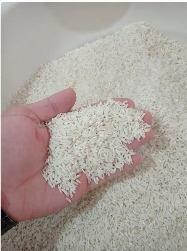 برنج شالیزارهای گیلان|خوردنی و آشامیدنی|کرج, پیشاهنگی|دیوار