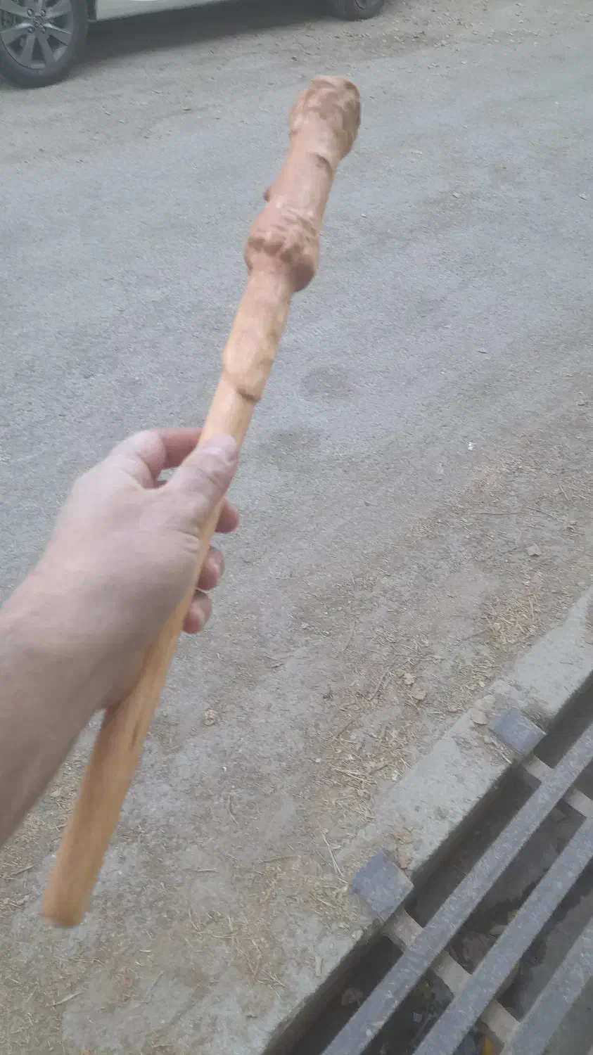 عصای هری پاتر|اسباب‌‌بازی|پردیس, سیاه سنگ|دیوار