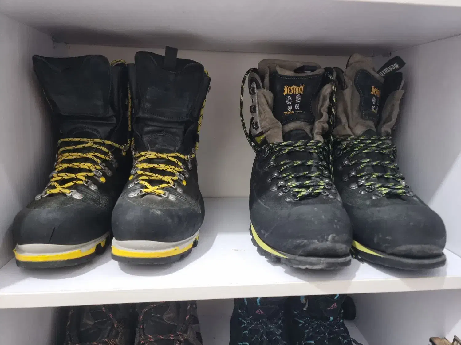 کفش کوه بستارد و کفش کوه سالیوا|کوهنوردی و کمپینگ|تهران, سردارجنگل|دیوار