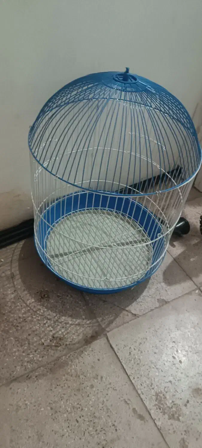 دوتا قفس دونه 200|لوازم جانبی حیوانات|تربت‌حیدریه, داروپخش|دیوار