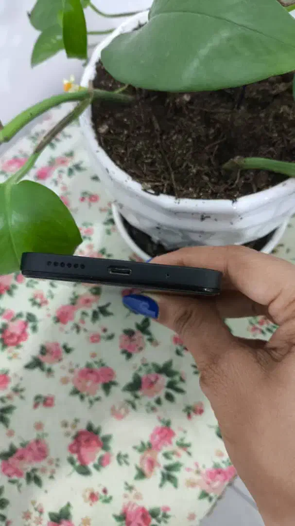 poco m6 نو نو|موبایل|بندرعباس, |دیوار