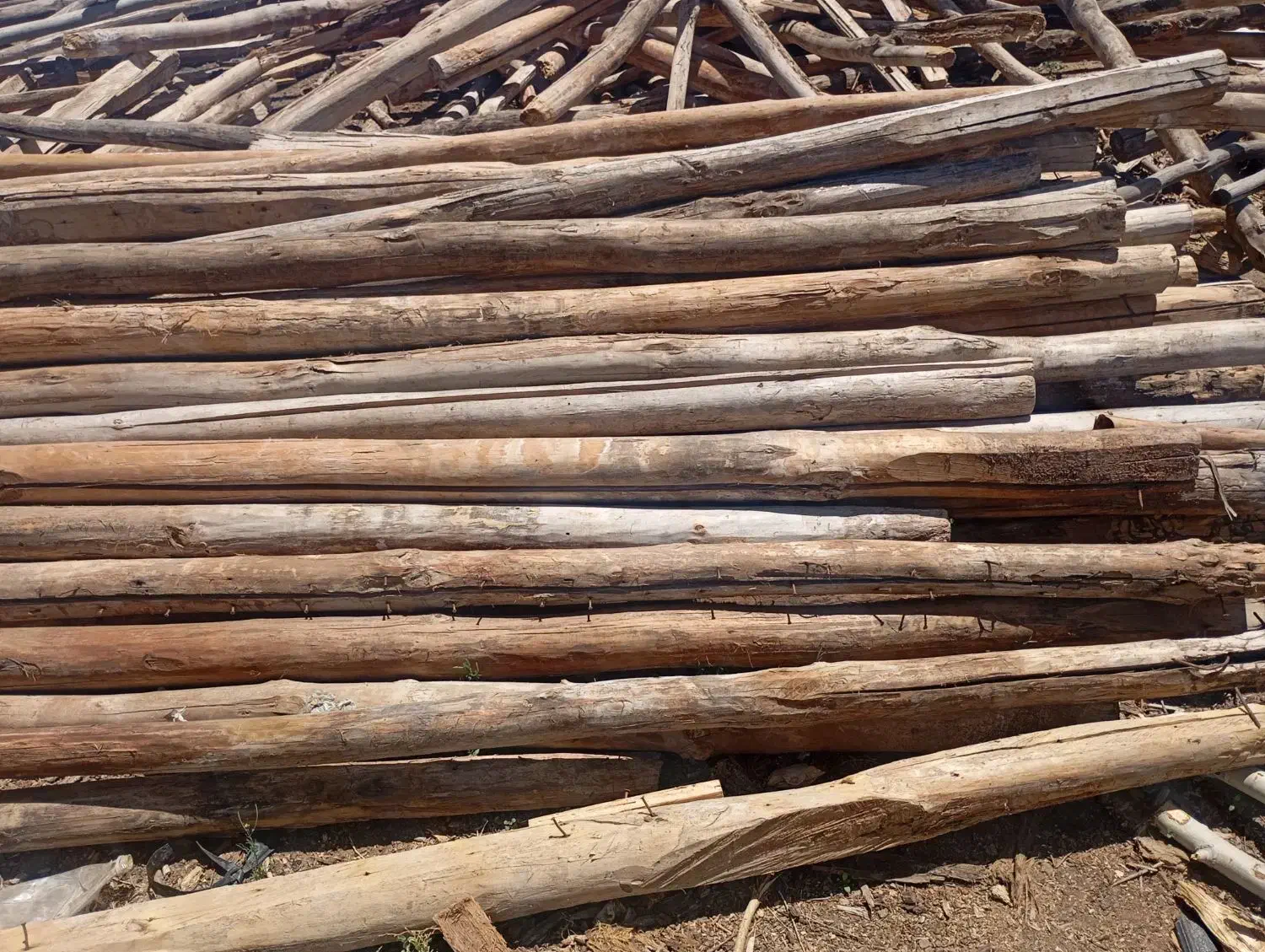 خرید چوب خشک سقفی و ضایعات باغی با بالاترین قیمت|خدمات باغبانی و درختکاری|زنجان, |دیوار