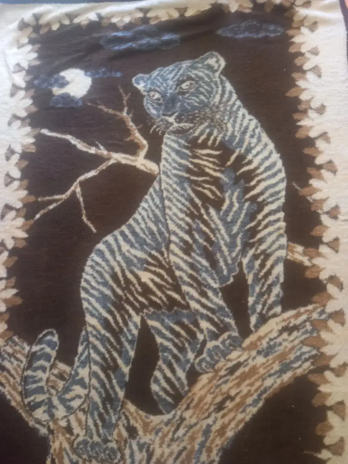 پتوپلنگی|رختخواب، بالش، پتو|قائمشهر, |دیوار