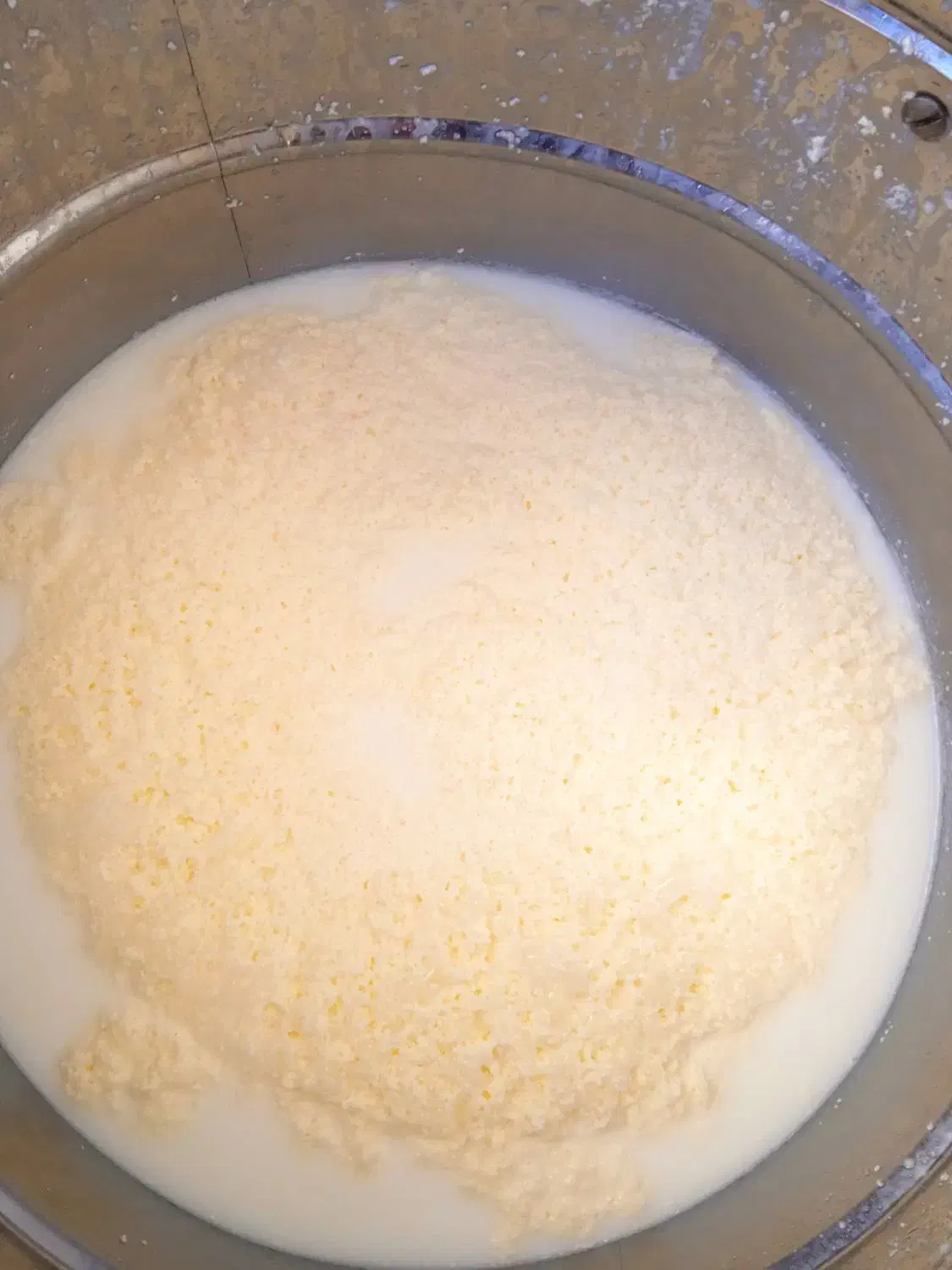 کره شیر و دوغ محلی|خوردنی و آشامیدنی|بیرانوند, |دیوار