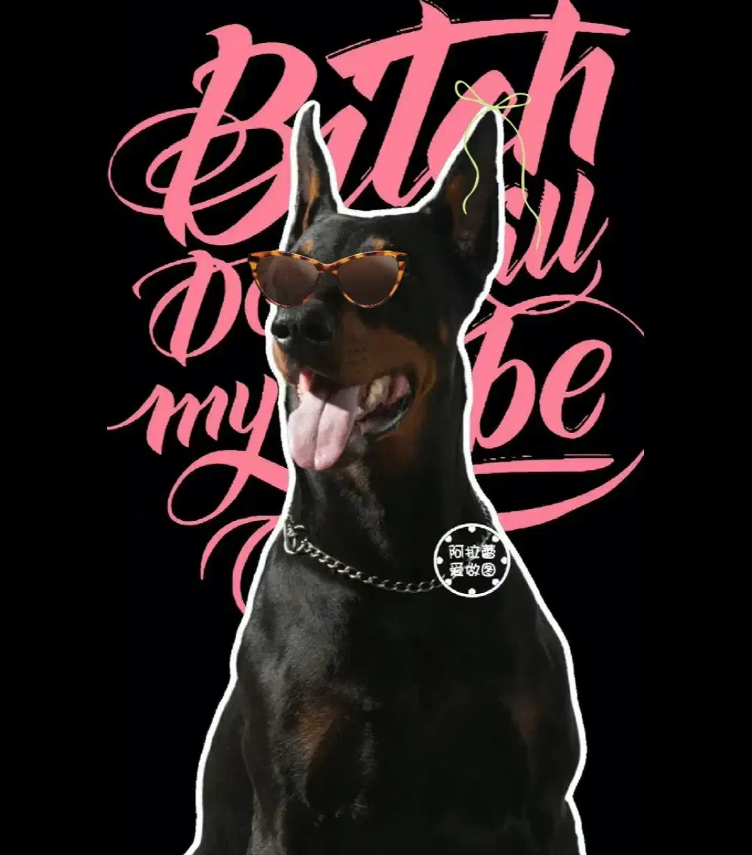 سگ اهلی|سگ|شادگان, |دیوار