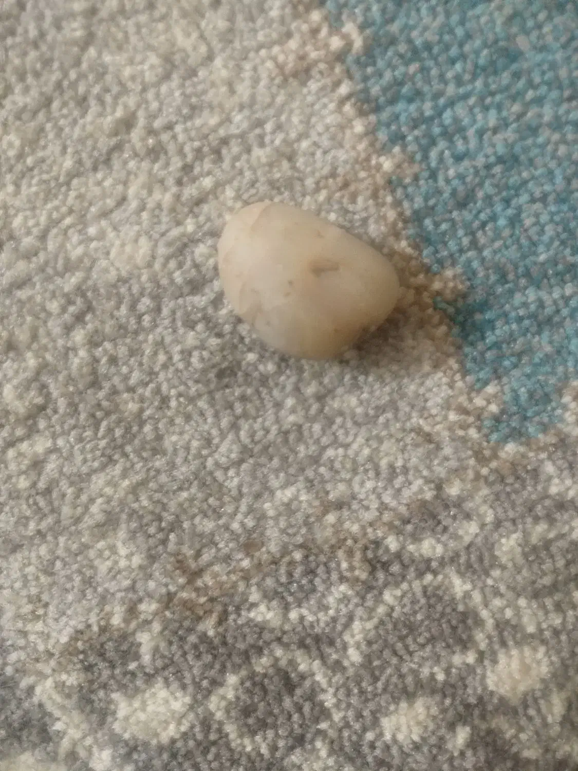 سنگ|جواهرات|ارومیه, |دیوار