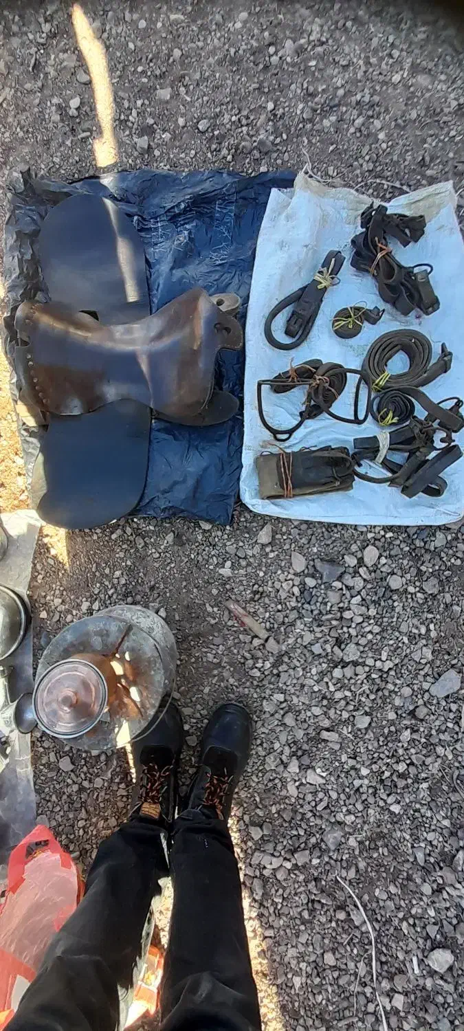 زین اسب|اسب و تجهیزات اسب‌سواری|هریس, |دیوار