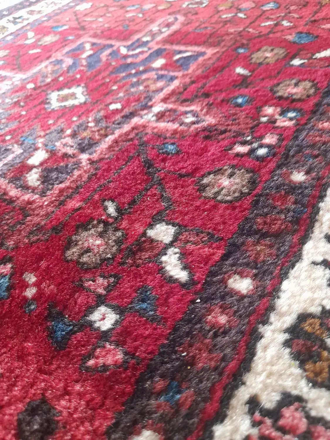 کناره دستباف قرجه|فرش|تبریز, |دیوار